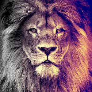 Meet your Posher, Anderson